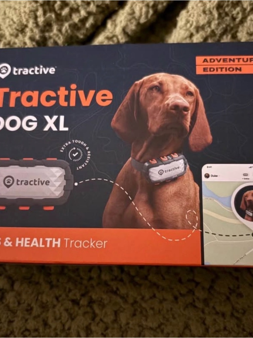 Active USA Dog XL Tracker in Gray with Orange Accents